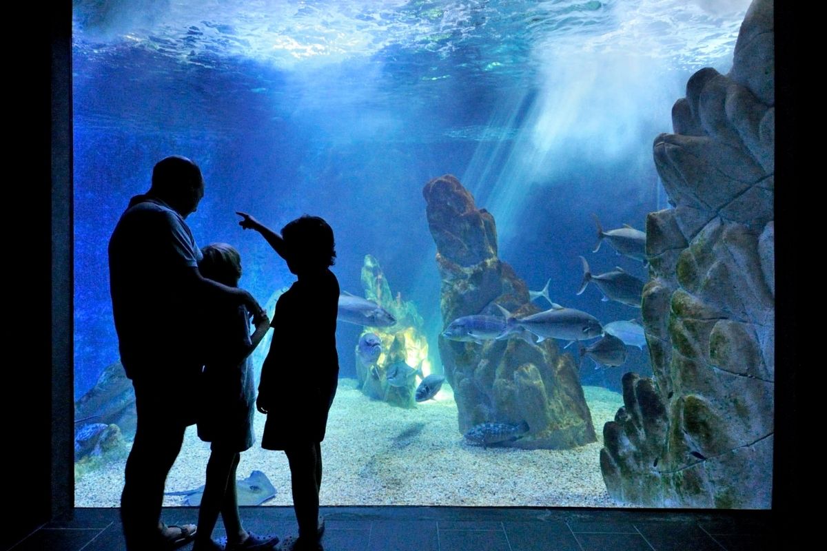 Famiglia che esplora l'acquario di Cala Gonone