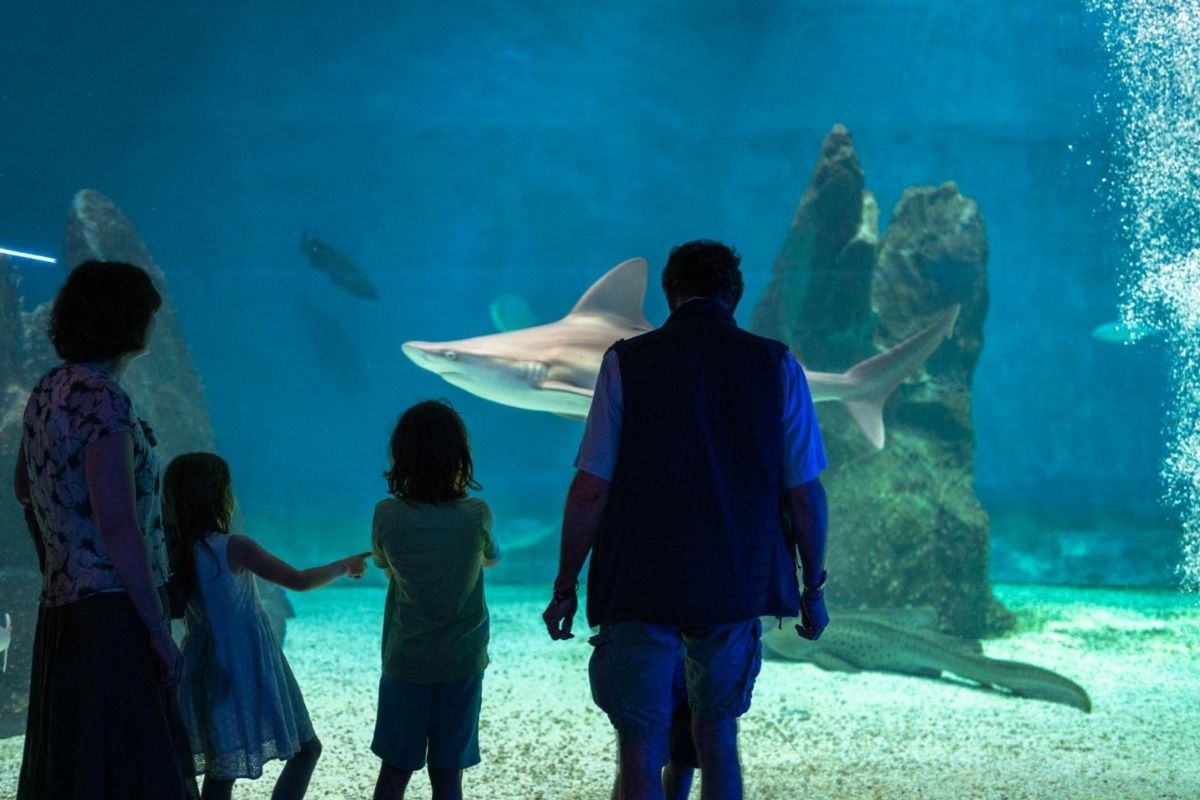 Bambini che esplorano l'acquario di Carloforte