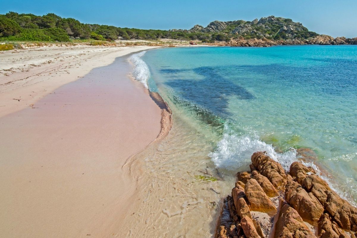 Vista della Spiaggia Rosa di Budelli, un must per ogni visitatore di La Maddalena